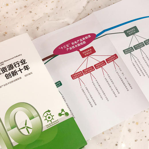 中国再生资源行业创新十年 商品图4