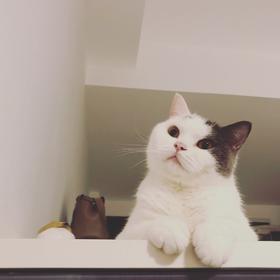 换货/补发/补邮费专用链接