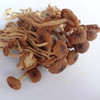有机茶树菇干货120g/袋（中国有机认证） 商品缩略图2