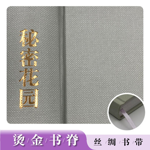 名著名译名绘版 秘密花园（精装全译插画版）7-10岁儿童读物 外国儿童文学经典名著 商品图2