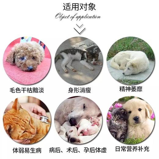 【猫狗通用 补充营养】红狗RedDog综合性营养膏 化毛膏 肽钙膏 美毛膏 钙王 离乳膏 猫胺粉 赖氨酸膏 商品图2