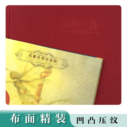 名zhu名译名绘版 彼得·潘 商品图1