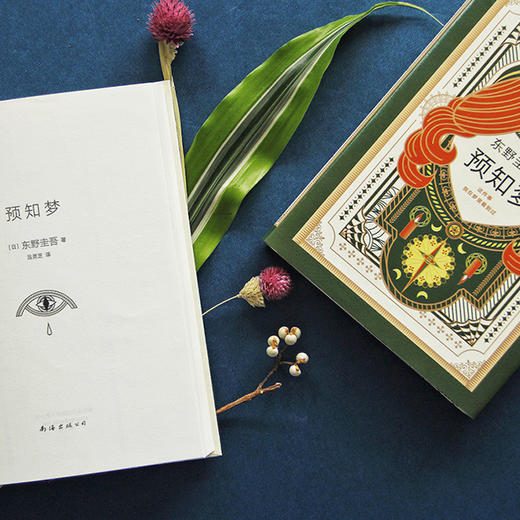 东野圭吾：预知梦 东野圭吾继恶意白夜行嫌疑人X的献身解忧杂货店只差一个谎言后的新日本推理悬疑侦探恐怖惊悚刑侦探案 商品图2