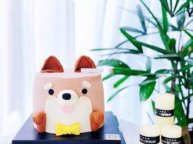 柯基小可爱