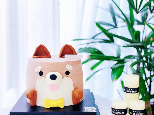 柯基小可爱 商品图0