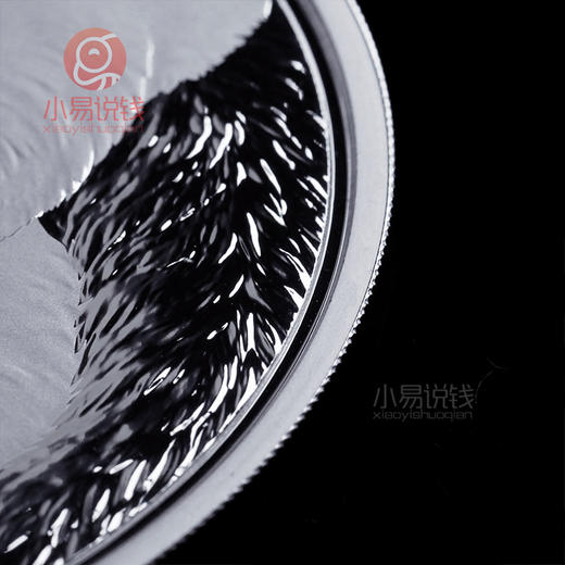 2019熊猫银币 150g 商品图4