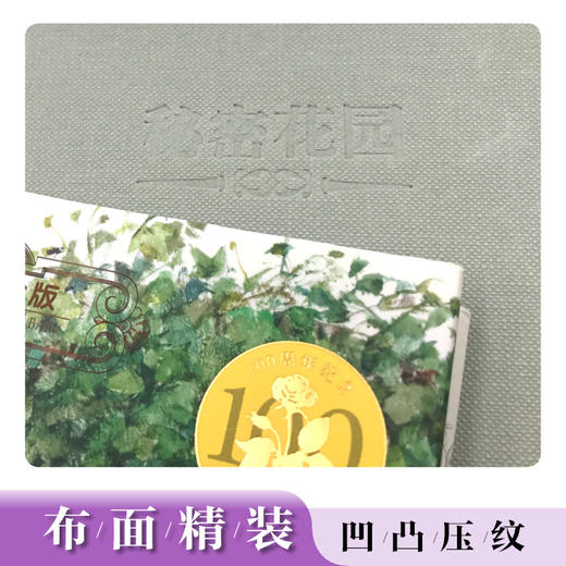 名著名译名绘版 秘密花园（精装全译插画版）7-10岁儿童读物 外国儿童文学经典名著 商品图1