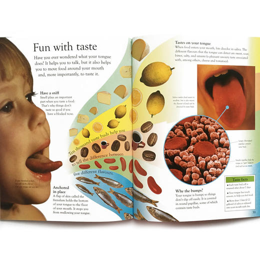 DK 英文原版 畅销20年经典作品 eyewonder 视觉奇观系列 适合5-8岁亲子共读/6-12岁自主阅读 商品图7