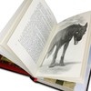 【中商原版】好兆头 插图插画版 英文原版 The Illustrated Good Omens 精装 Neil Gaiman Terry Pratchett 商品缩略图3