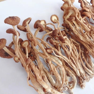 有机茶树菇干货120g/袋（中国有机认证） 商品图3