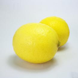 N 黄柠檬