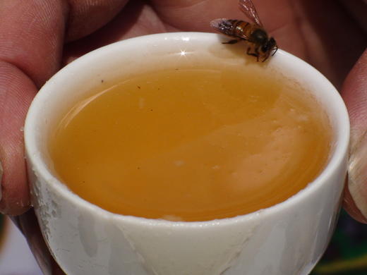 【云燕优品】长岁牌 任氏岩蜂蜜 天然野生 冲饮 四川合江特产 《银品》 商品图2