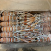 【新西兰进口-深海鳌虾 2kg/盒 3盒/箱】【NZ-Scampi packed and frozen at sea 2kg/box 3boxes/case】 商品缩略图2