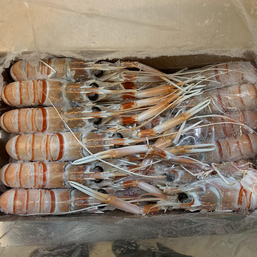 【新西兰进口-深海鳌虾 2kg/盒 3盒/箱】【NZ-Scampi packed and frozen at sea 2kg/box 3boxes/case】 商品图2