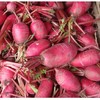 生态水萝卜 |石嫣农场 商品缩略图1