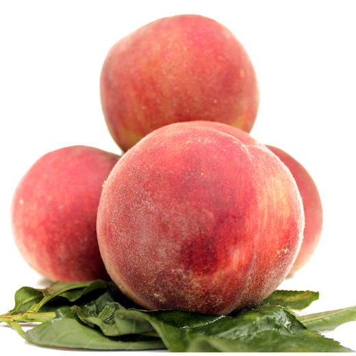 预售6月23发货蒙阴水蜜桃香甜多汁5斤装农家果园现摘