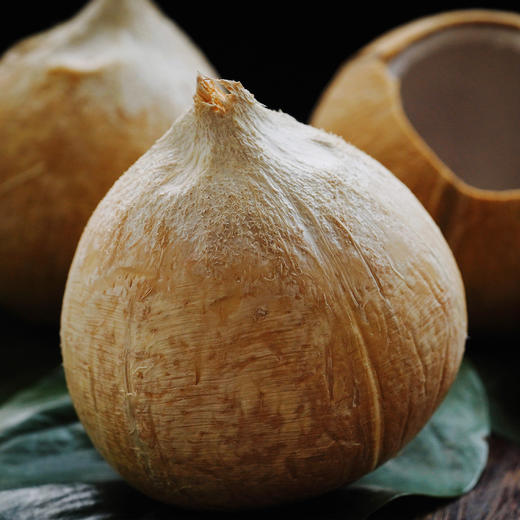 第二件7折日食记甄选泰国香水椰椰王6颗装