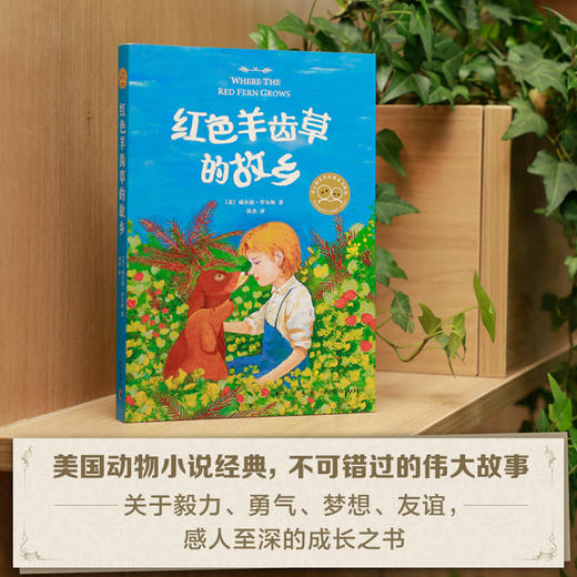 红色羊齿草的故乡  商品图1