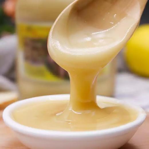 【云燕优品】长岁牌 任氏岩蜂蜜 天然野生 冲饮 四川合江特产 《银品》 商品图1