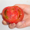 新品上新 | 草莓柿子 绿腚西红柿番茄 维C含量丰富 口感鲜美 酸甜多汁 商品缩略图4