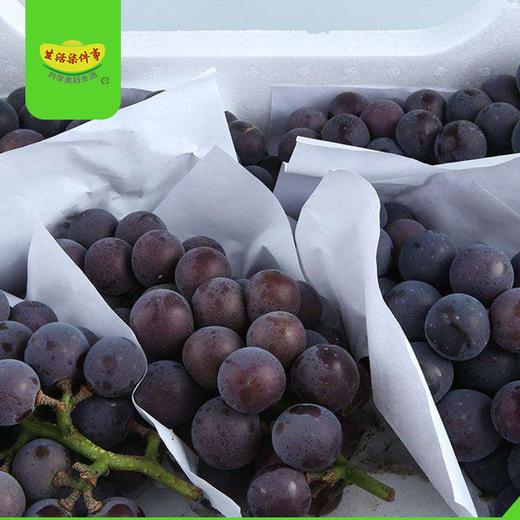 乒乓葡萄一箱5斤左右115元