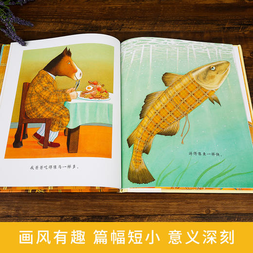 国际绘本大师安东尼·布朗:我爸爸 3-6岁