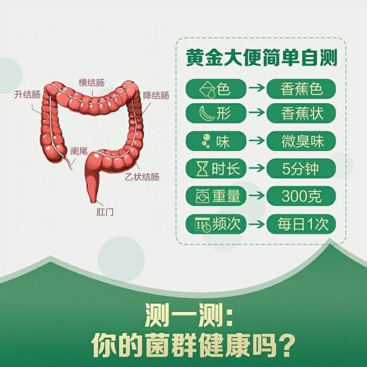 纽崔莱复合®益生菌固体饮料/耐胃酸耐胆汁/此款适合成人/无需冷藏 商品图8