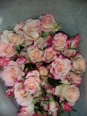 图大帅电子卡券