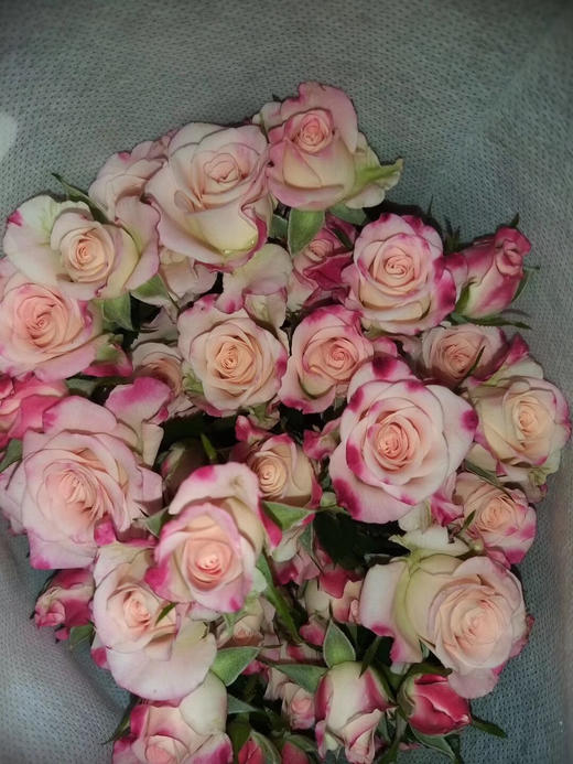 图大帅电子卡券 商品图0