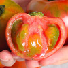 新品上新 | 草莓柿子 绿腚西红柿番茄 维C含量丰富 口感鲜美 酸甜多汁 商品缩略图0