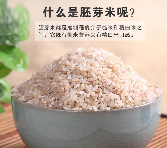 现磨新米东北胚芽米营养留芽米买5斤送1斤共发6斤