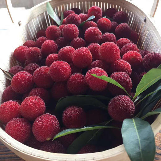 农场直发包邮宜兴猴子岭有机杨梅15kg