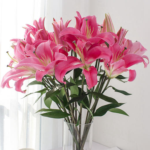 花立购 云南昆明新鲜 百合花 鲜花速递家居生活