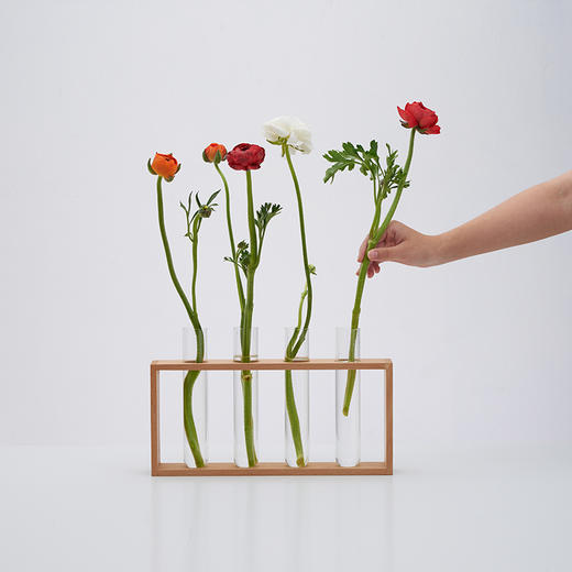 四季茶礼 | 从北喝到南，四味俱全 商品图5