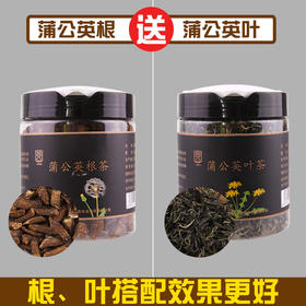 天野园·蒲公英根茶 200g 长白山野生天然蒲公英根 婆婆丁  送蒲公英叶茶