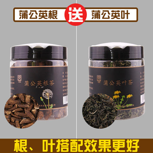 天野园·蒲公英根茶 200g 长白山野生天然蒲公英根 婆婆丁  送蒲公英叶茶 商品图0