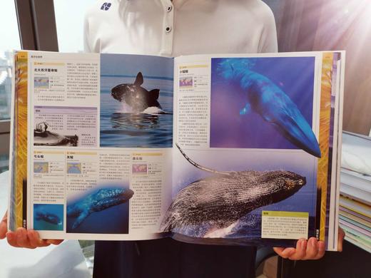 DK海洋大百科 神秘探索海洋世界 DK权威一场海底视觉盛宴 商品图3