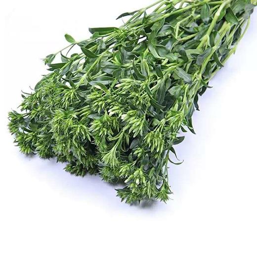 青梅·白色 商品图0