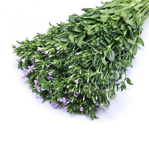 青梅·紫色 商品图0