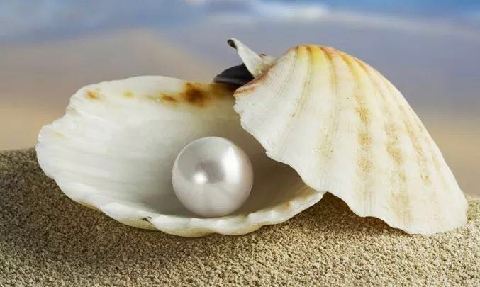 2024年8月6日—8月9日 珍珠鉴定与商贸课程