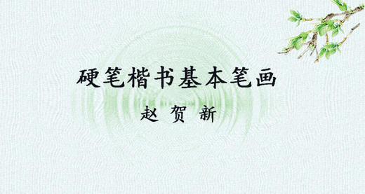 赵贺新《硬笔楷书基本笔画》 商品图0