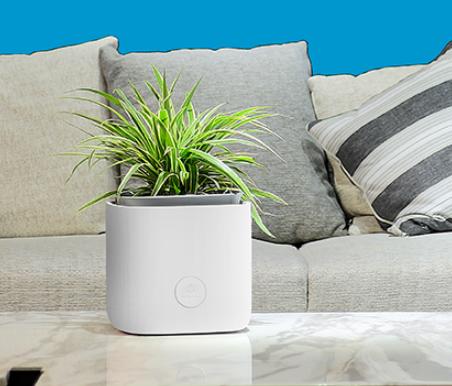 蓝主角forbluever空气净化器绿植花盆智能花盆空气净化自动传感