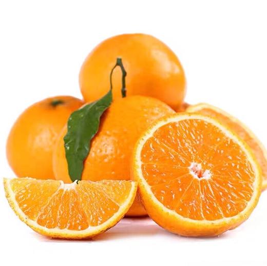 【澳洲橘柑】8粒装，皮薄柔嫩，多汁爽口。被中国小伙伴称为“行走的芬达” 商品图0