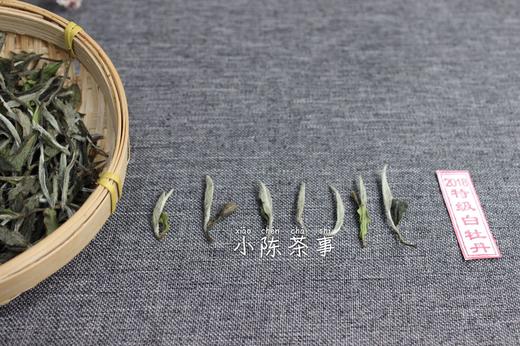 2018高山抛荒牡丹王（特级白牡丹） 商品图6