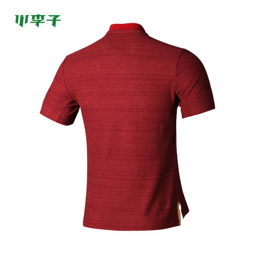Nike耐克19中超恒大上港申花运动短袖POLO衫男AR4711 商品图7