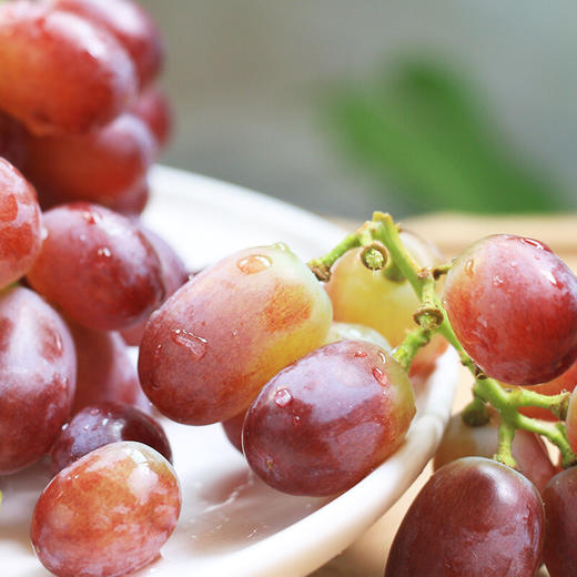 克伦森无籽红提（秋红） 商品图1