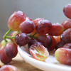 克伦森无籽红提（秋红） 商品缩略图3