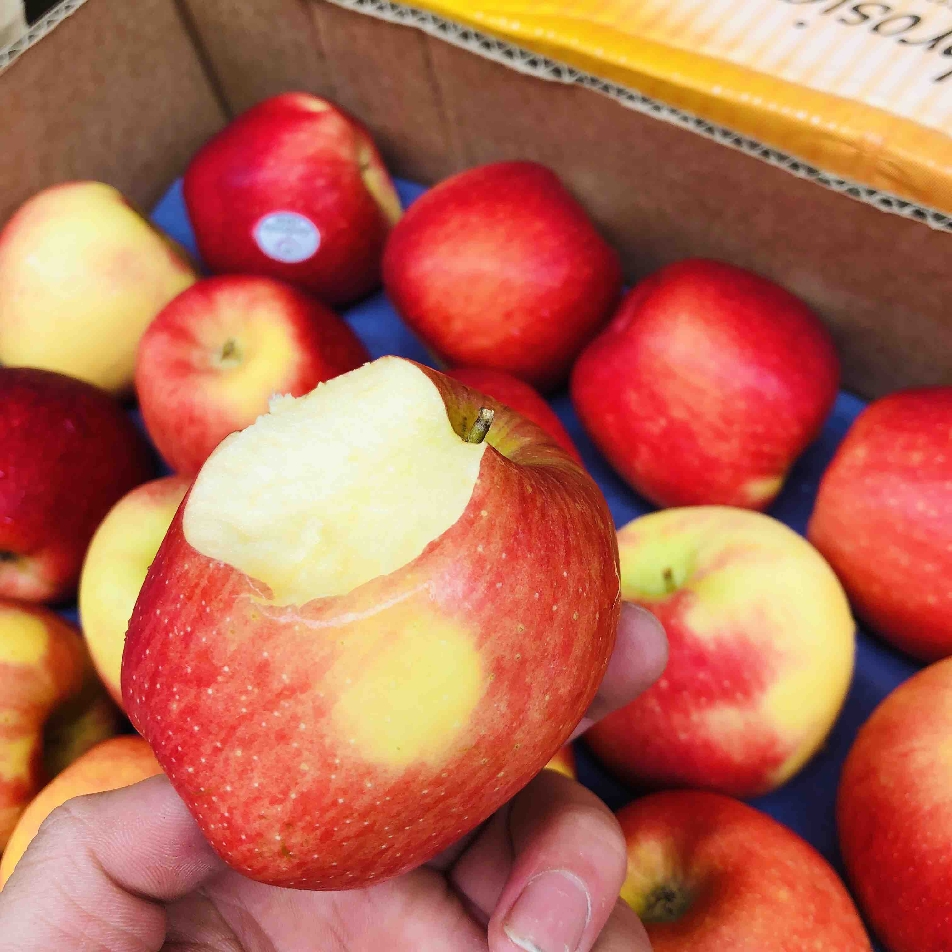 【智利ambrosia神仙果】推荐!大小刚好,又脆又甜!