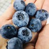 蓝莓 商品缩略图1