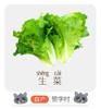 赞字村生菜 商品缩略图0